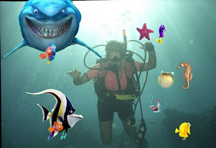 Mommy Scuba Dives with Nemo & Friends